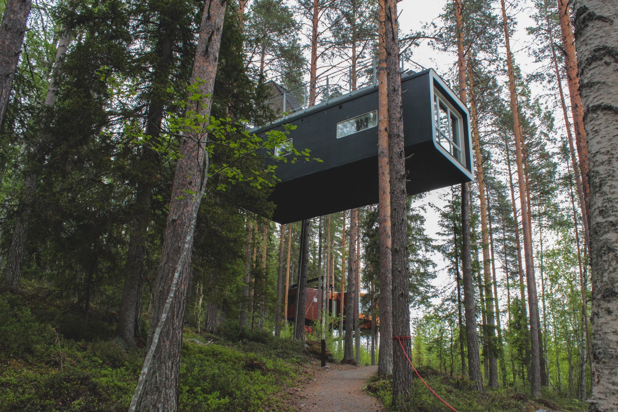 Treehotel review: Sweden's coolest eco hotel 1