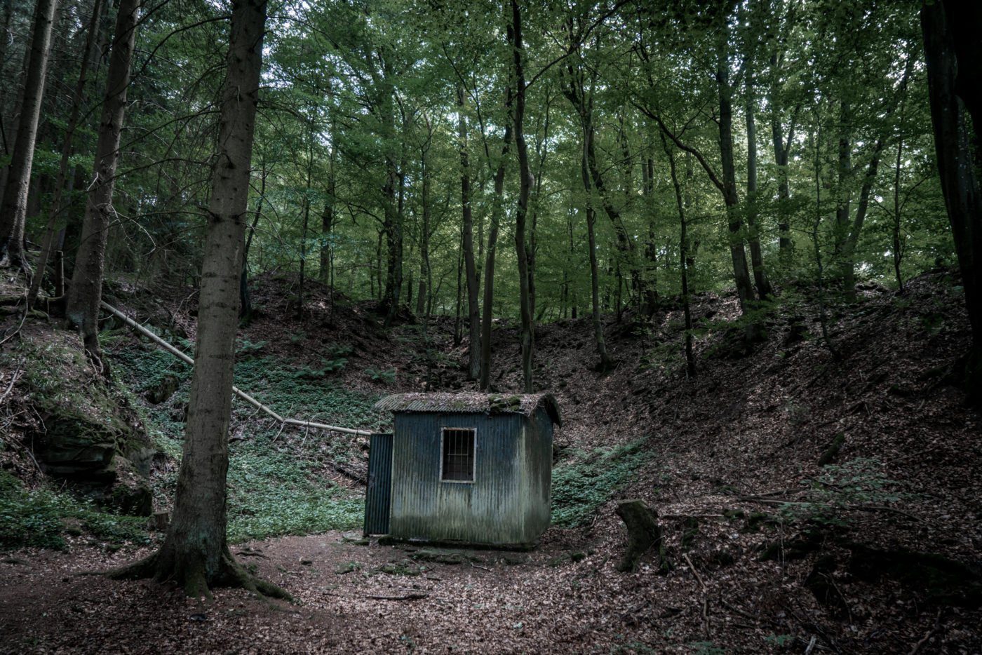 Creepy cabin I came across while hiking the Römerpfad in the Butzerbachtal 